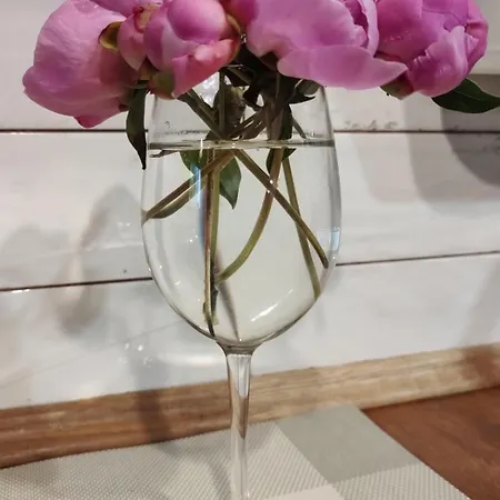 мури старого львова